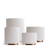 Monty Milk Art Cups