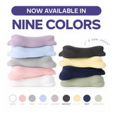 2 CloudAlign Pillows + 2 Free Cooling Pillowcase