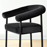 New York Modern Velvet Dining Chair (Set of 2)