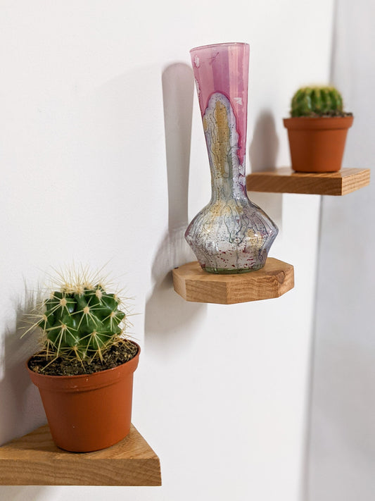 Small Floating Wall Shelves Set for Plants & Decor