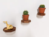 Small Octagon Oak Floating Display Shelf
