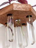 Octagon Propagation Station Shelf for Plant Cuttings