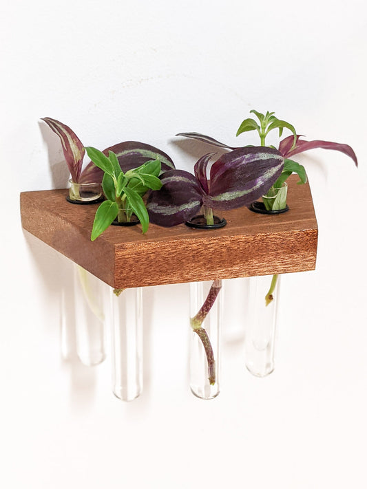 Trapezoid Propagation Station Shelf for Cuttings