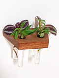 Trapezoid Propagation Station Shelf for Plant Cuttings