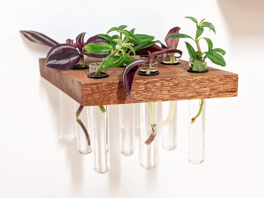 Rhombus Propagation Station Shelf for Cuttings