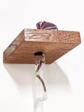 Rhombus Propagation Station Shelf for Plant Cuttings