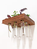 Square Wood Propagation Station Shelf for Plants