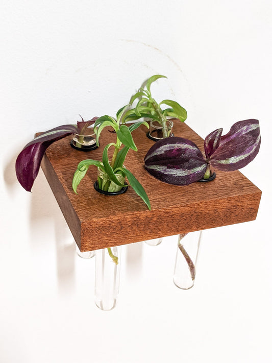 Square Wood Propagation Station Shelf for Plants