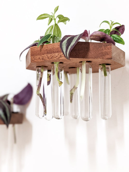 Octagon Propagation Station Shelf for Cuttings