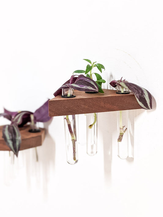 Triangle Propagation Station Shelf for Cuttings