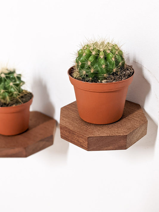 Small Octagon Mahogany Floating Display Shelf