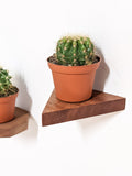 Small Triangle Oak Floating Display Shelf
