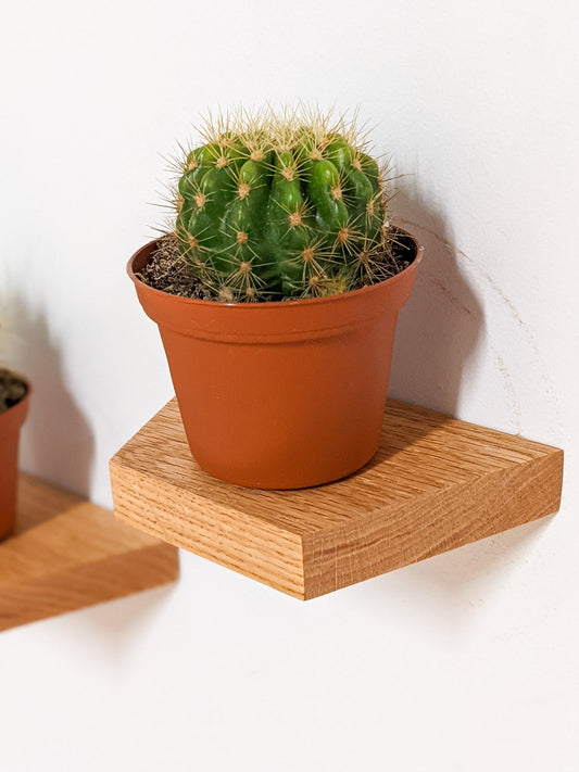 Small Trapezoid Oak Floating Display Shelf