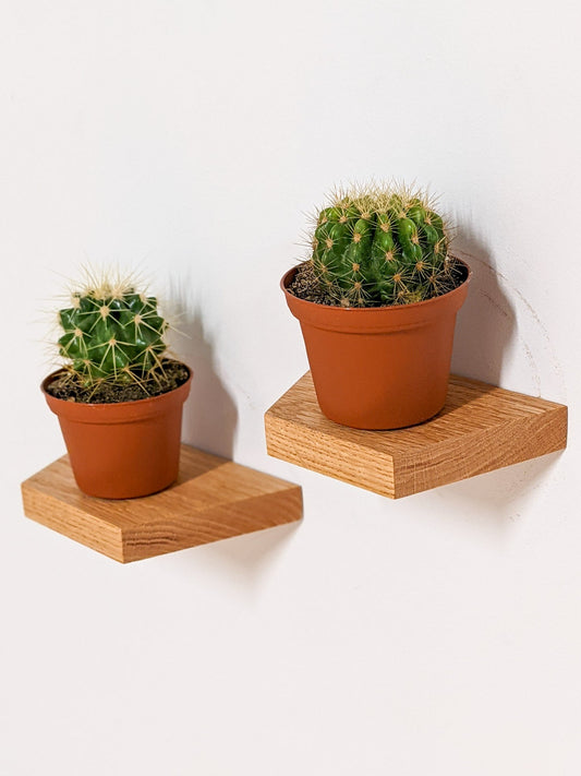 Small Trapezoid Oak Floating Display Shelf