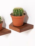 Small Floating Wall Shelves Set for Plants & Decor