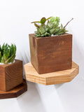 Small Octagon Display Shelf in Mahogany