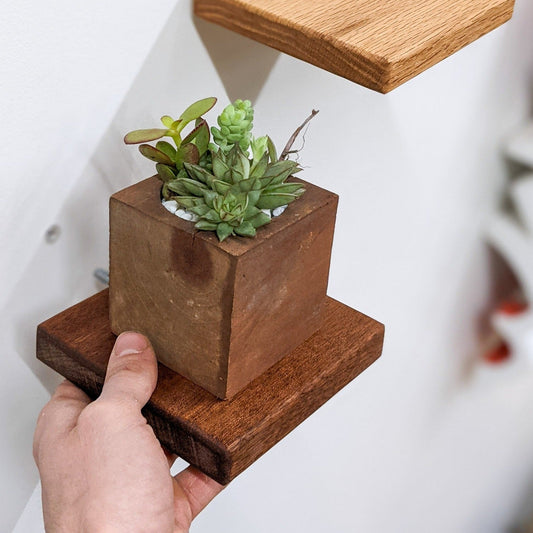 Small Square Mahogany Floating Display Shelf