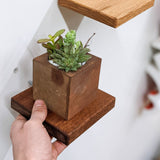 Small Square Display Shelf in Mahogany