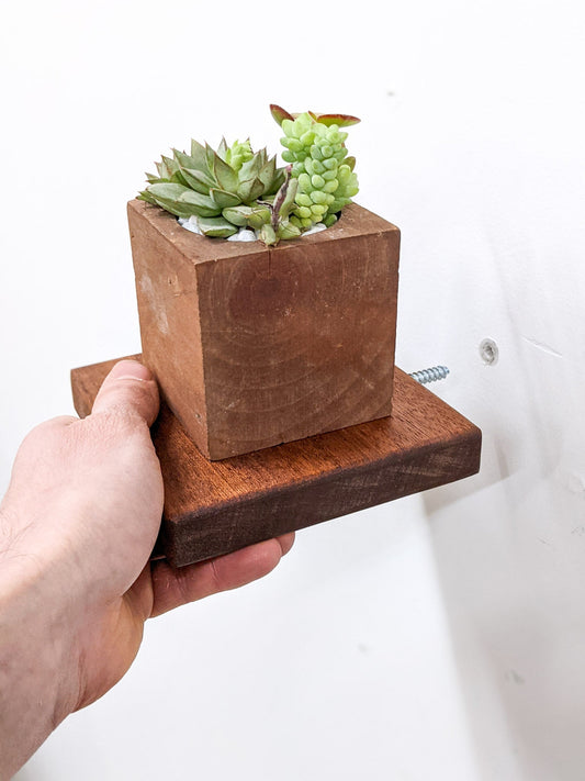 Small Square Mahogany Floating Display Shelf