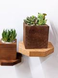 Small Octagon Oak Floating Display Shelf