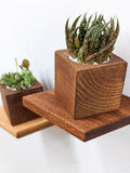 Small Floating Wall Shelves Set for Plants & Decor