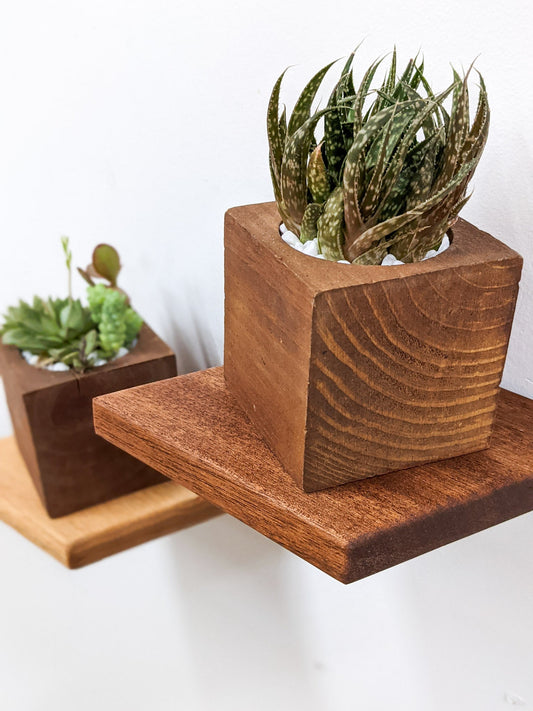 Small Rhombus Mahogany Floating Display Shelf
