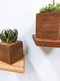 Small Rhombus Display Shelf in Oak