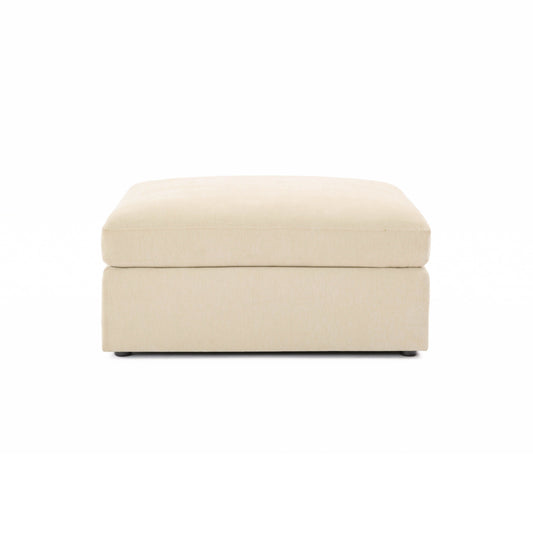 Aiden-Ottoman