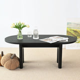 Roma 48" Modern Oval Coffee Table