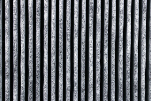 ROGER and ROGER BIG Dual Filter™ H14 HEPA + Activated Carbon