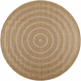 Dyami Flatweave Faux Jute Outdoor Rug