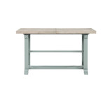 Darcy 64-82"Counter Table with 18-inch leaf, Mint Green and Natural Finish