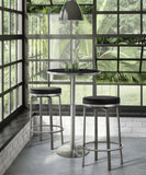 Pratt Performance Vegan Leather Swivel Counter Stool - Set of 2