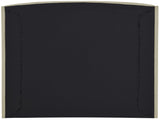 Tess Contemporary Velvet Bed with Curvaceous Design and Elegant Headboard for Stylish Bedrooms