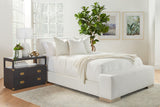 The Not So Basic 22" Essential Pillow - Set of 2