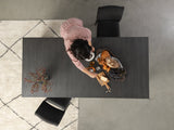 Transformer Dining Set - The Host