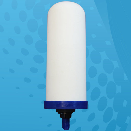 Everflow Diatom Granular Filter