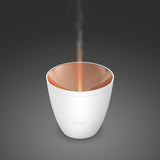 ZOE Aroma Diffuser