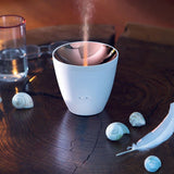 ZOE Aroma Diffuser