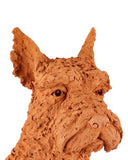 Oscar the Scottish Terrier