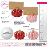 Burgundy & Blush Pink Pumpkin Place Card Holder (Set of 6)