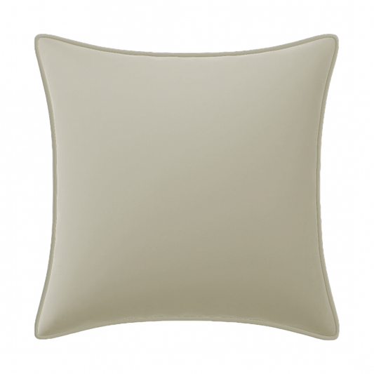Velvet Pillow Cover (Set of 1)