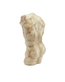 Ancient Greek Torso