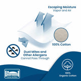 AllergyCare™ Organic Cotton Zippered Pillow Protector | Bargoose