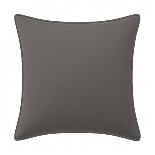 Velvet Pillow Cover (Set of 1)