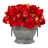 10” Amaryllis Arrangement in Bowl with Copper Trimming