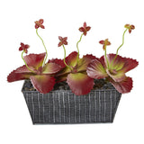 10” Succulent Artificial Plant in Embossed Tin Planter