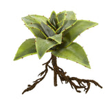 10” Succulent Artificial Plant with Roots (Set of 3)