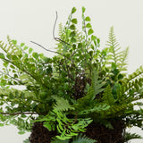 11" Artificial Mixed Fern Plant with Twig and Moss Basket