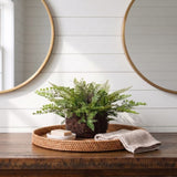 11" Artificial Mixed Fern Plant with Twig and Moss Basket